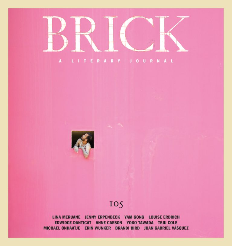 Brick 105 cover
